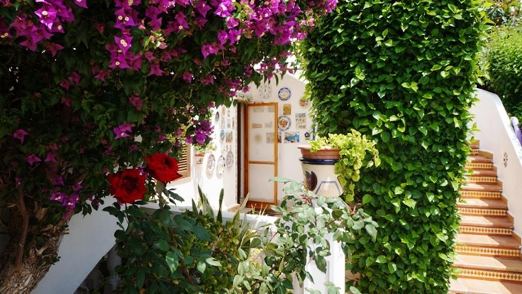 Patio Andaluz Apartment Denia Exterior photo
